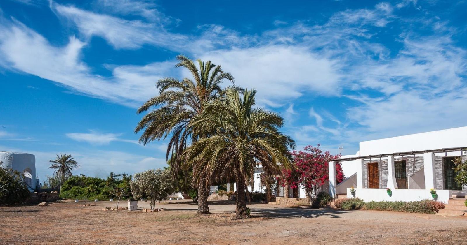 Cortijo La Molina De Cabo De Gata Pensionat Eksteriør billede