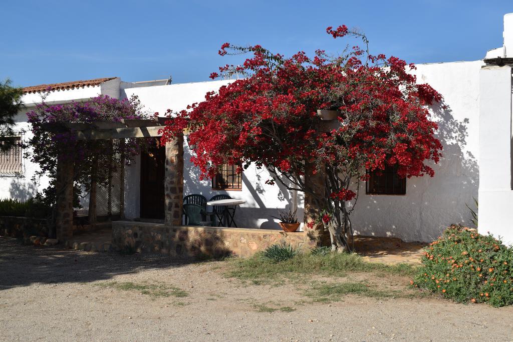 Cortijo La Molina De Cabo De Gata Pensionat Eksteriør billede