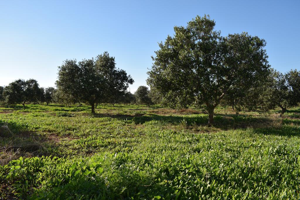 Cortijo La Molina De Cabo De Gata Pensionat Eksteriør billede