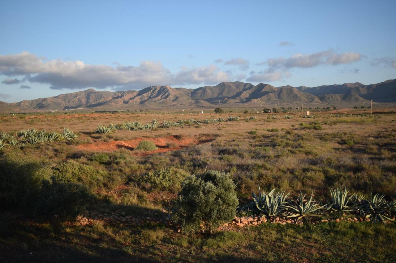 Cortijo La Molina De Cabo De Gata Pensionat Eksteriør billede