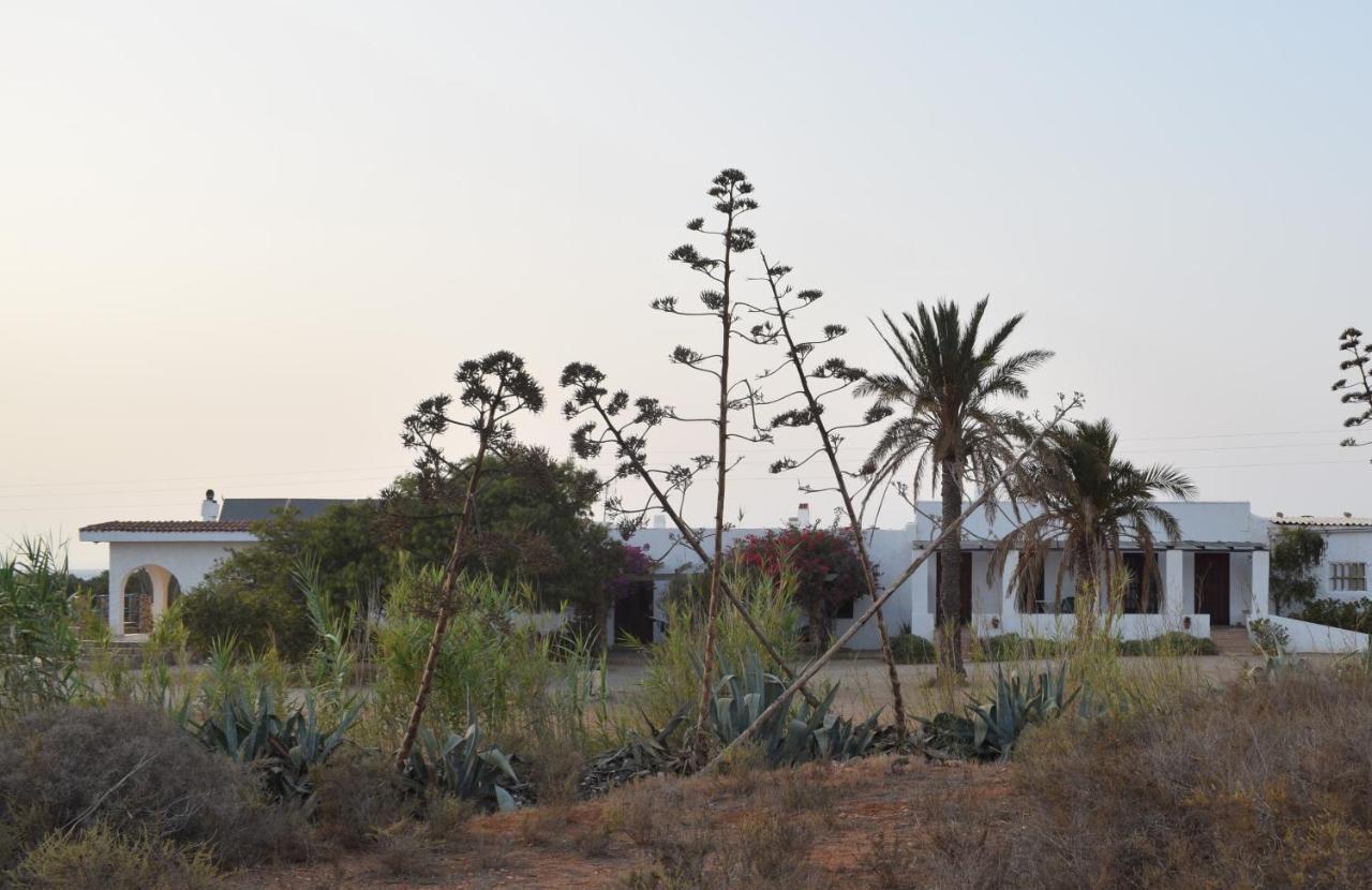 Cortijo La Molina De Cabo De Gata Pensionat Eksteriør billede