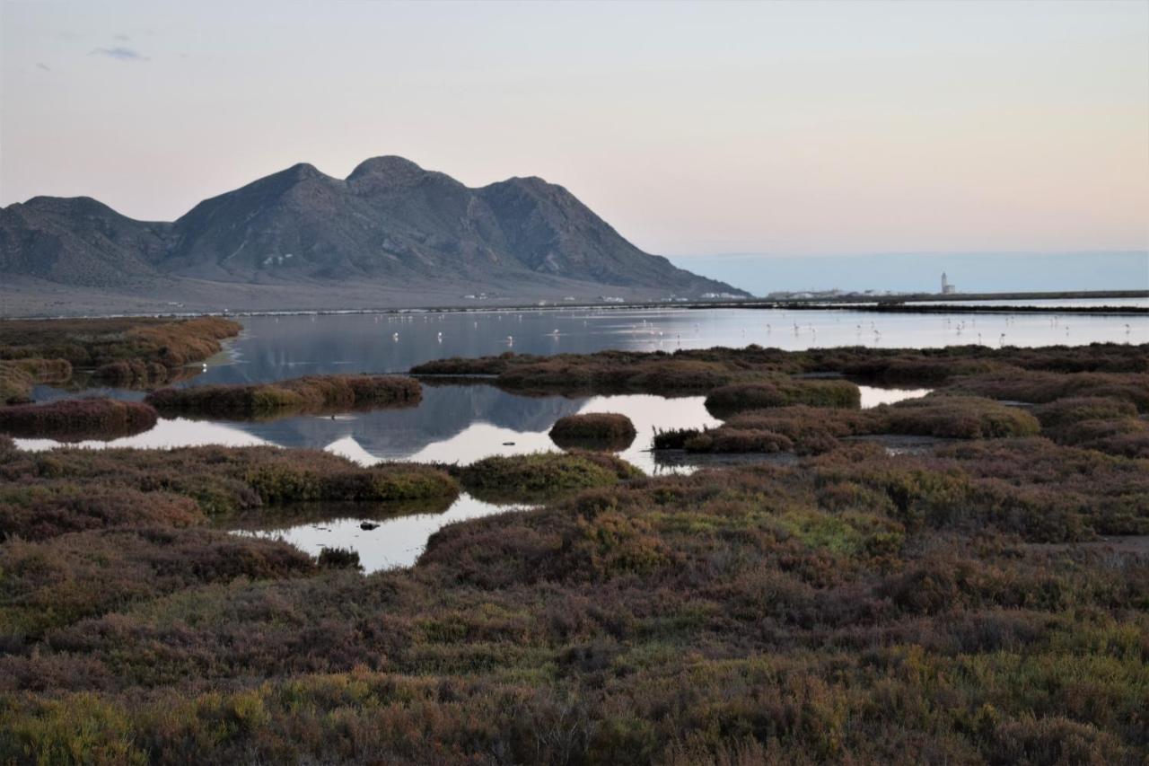 Cortijo La Molina De Cabo De Gata Pensionat Eksteriør billede
