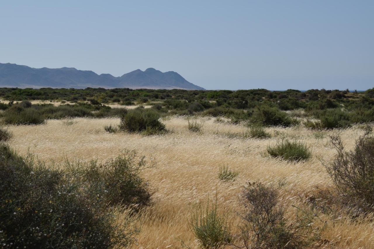 Cortijo La Molina De Cabo De Gata Pensionat Eksteriør billede